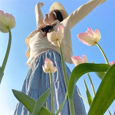 小查与寇弟的顶级冒险